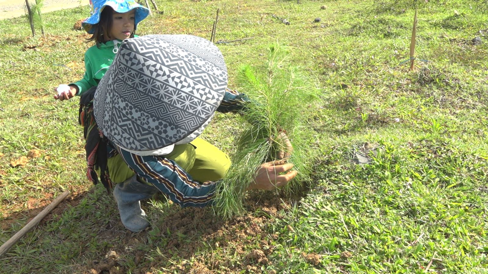 Ra quân trồng cây xanh dọc Quốc lộ 24