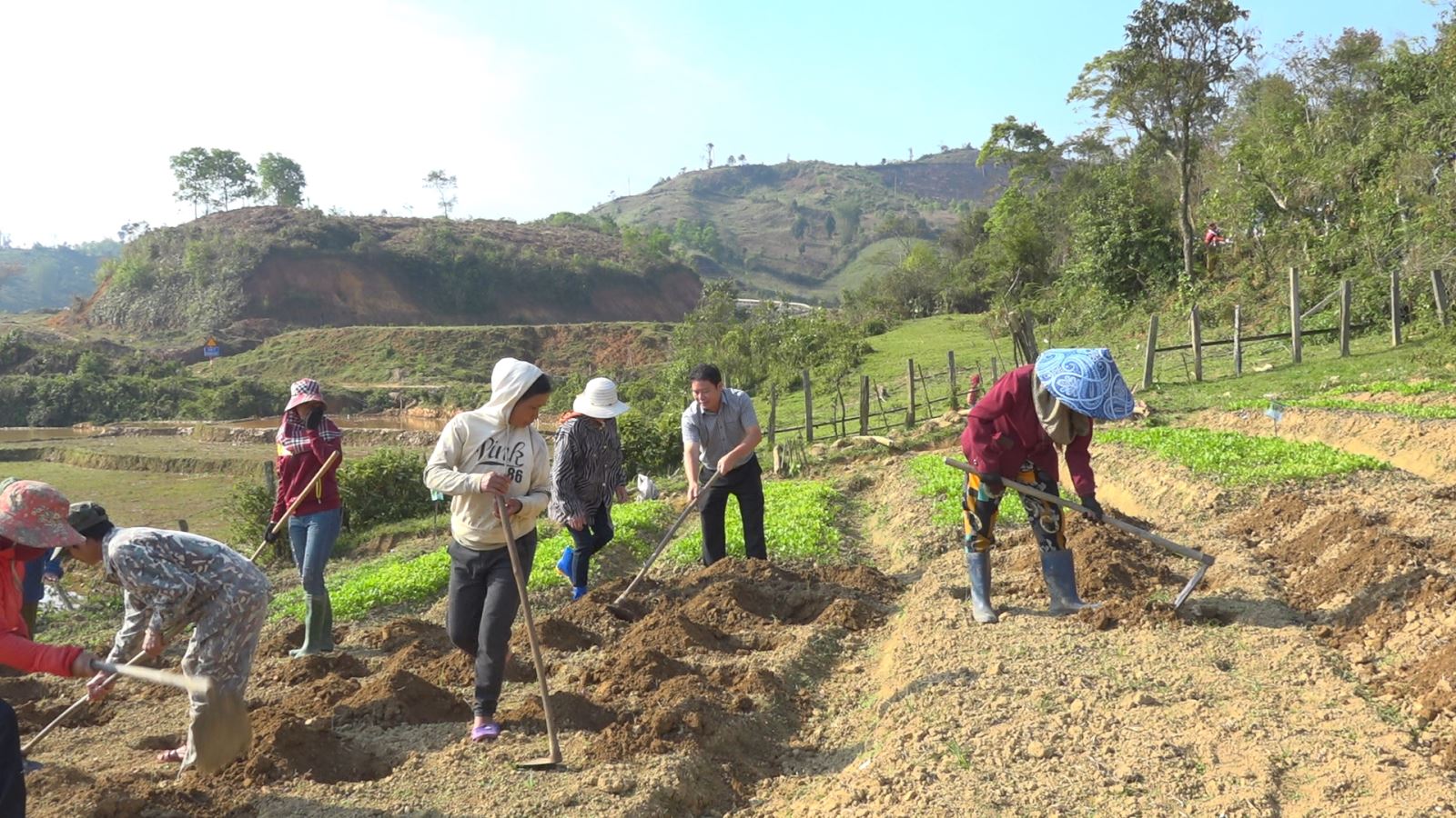 Khởi động Chỉ thị xây dựng mỗi hộ một vườn rau gia đình