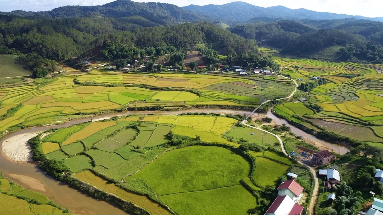 Du lịch Măng Đen: Thích hợp vài ngày 'bỏ phố về rừng'