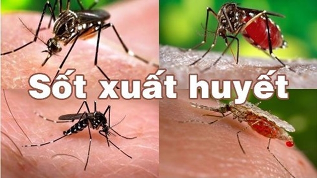 Huyện Kon Plông tăng cường phòng, chống sốt xuất huyết Dengue