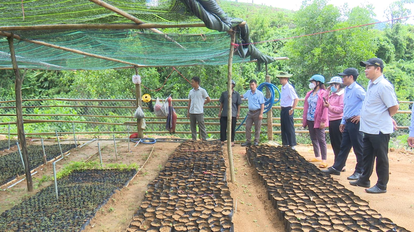 Huyện Kon Plông định hướng phát triển lâm nghiệp theo hướng bền vững
