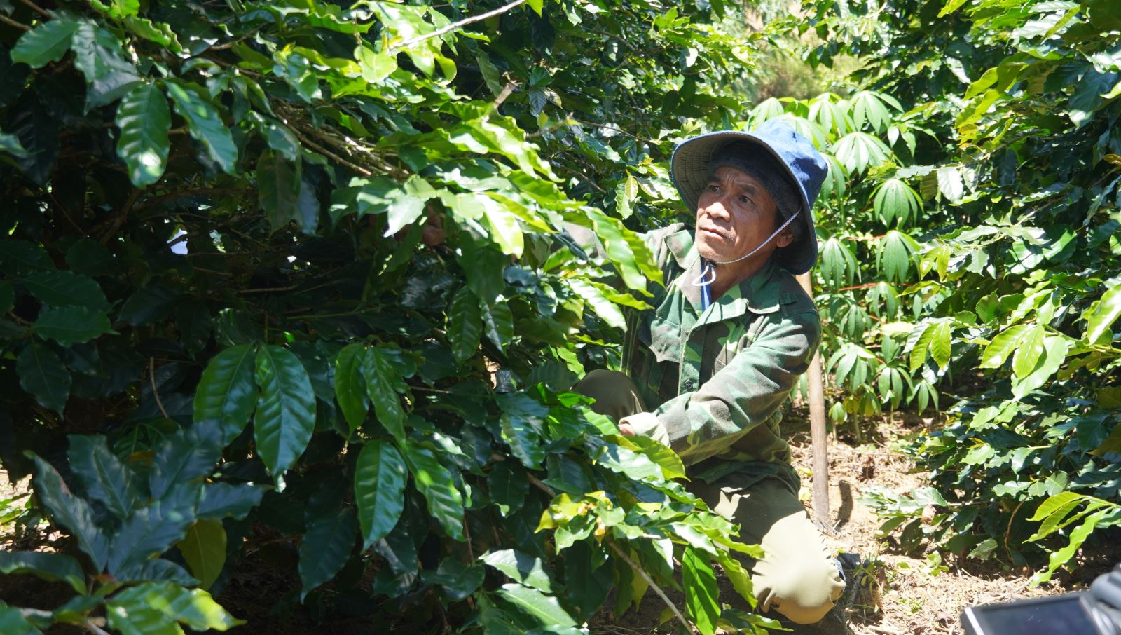 Già làng Đinh Duy Phương gương mẫu đi đầu