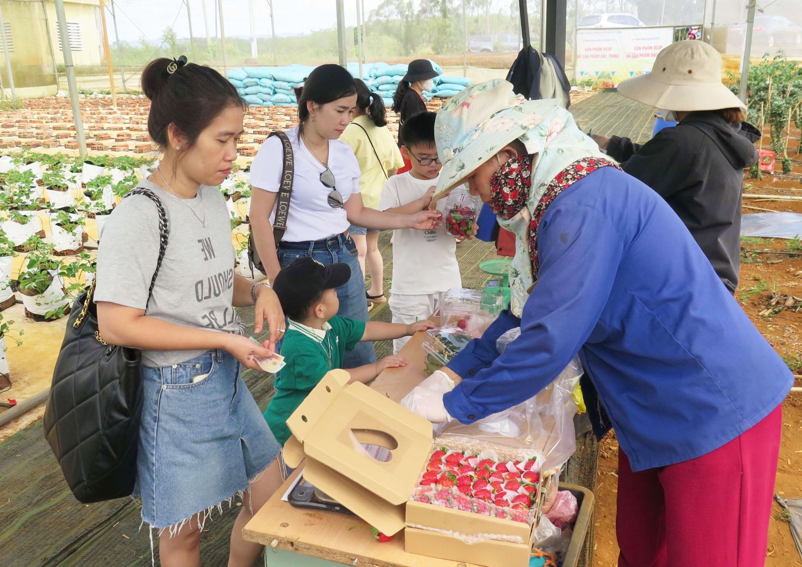 Phát triển nông nghiệp công nghệ cao gắn với du lịch