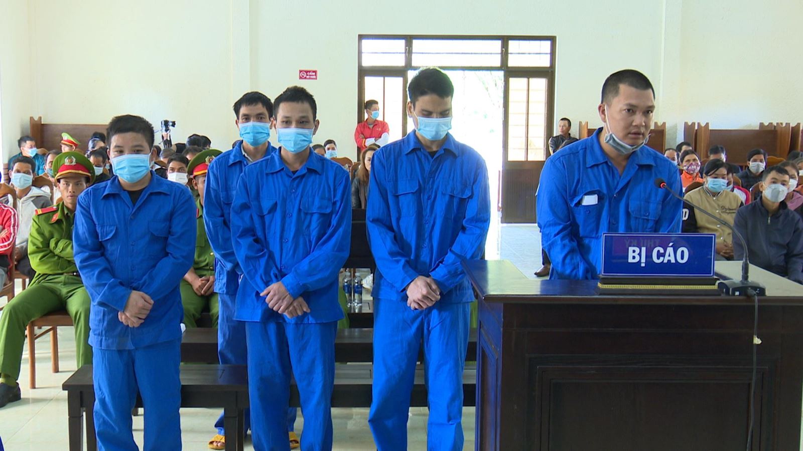 Xét xử lưu động vụ án “Vi phạm quy định về khai thác, bảo vệ rừng và lâm sản”