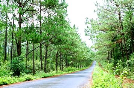 Măng Đen - Vùng đất bảy hồ ba thác